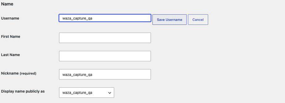 Username Changer 3.3.1の展開フォーム(架空アカウント/WordPress 7.1.3/Local英語UI/2026年10月13日確認)